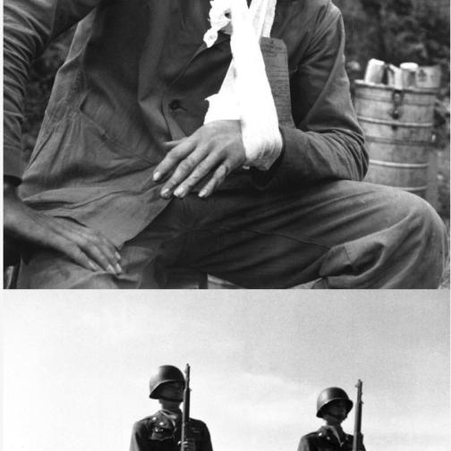 한국전쟁 미공개 사진들